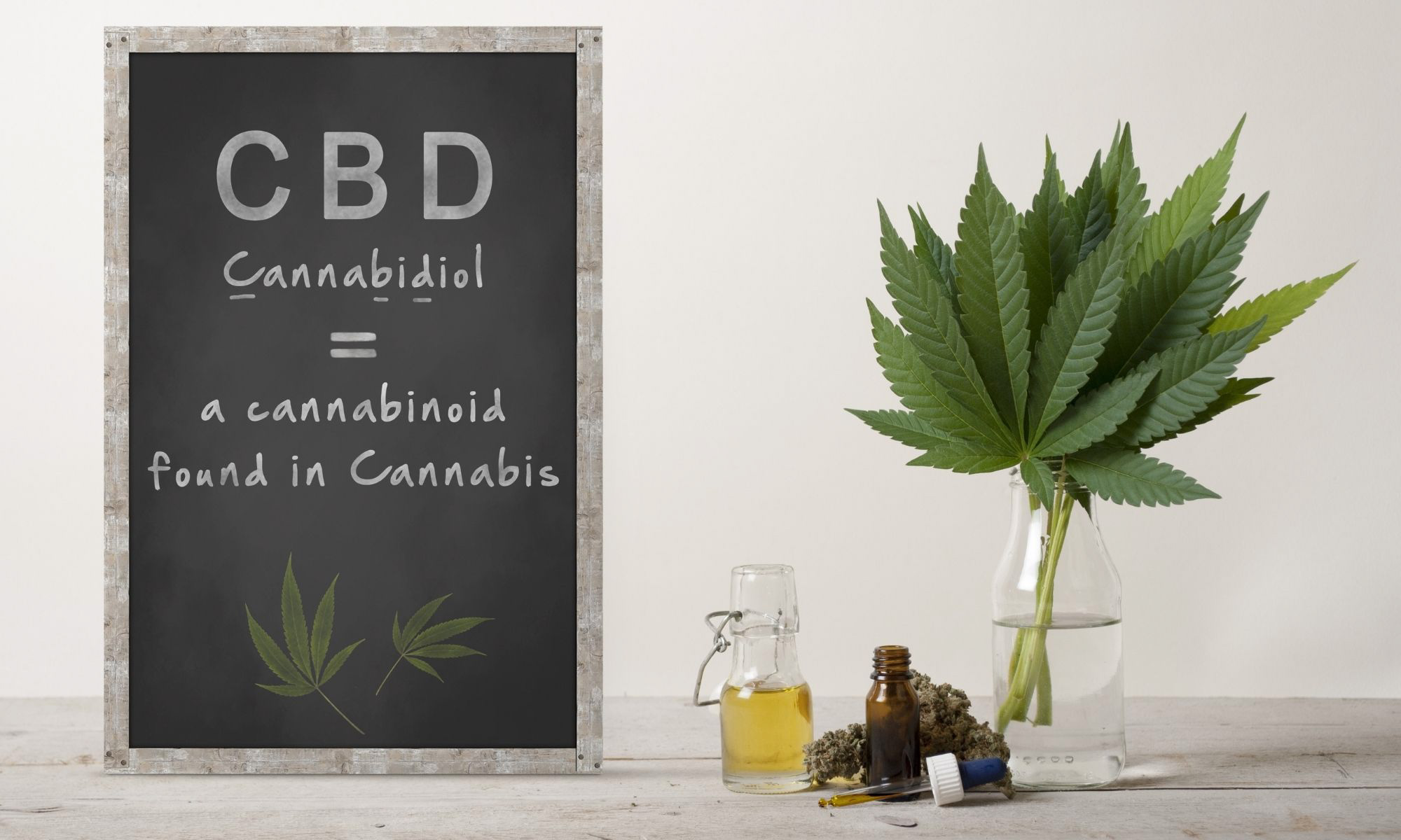 The Importance of CBD Marketing