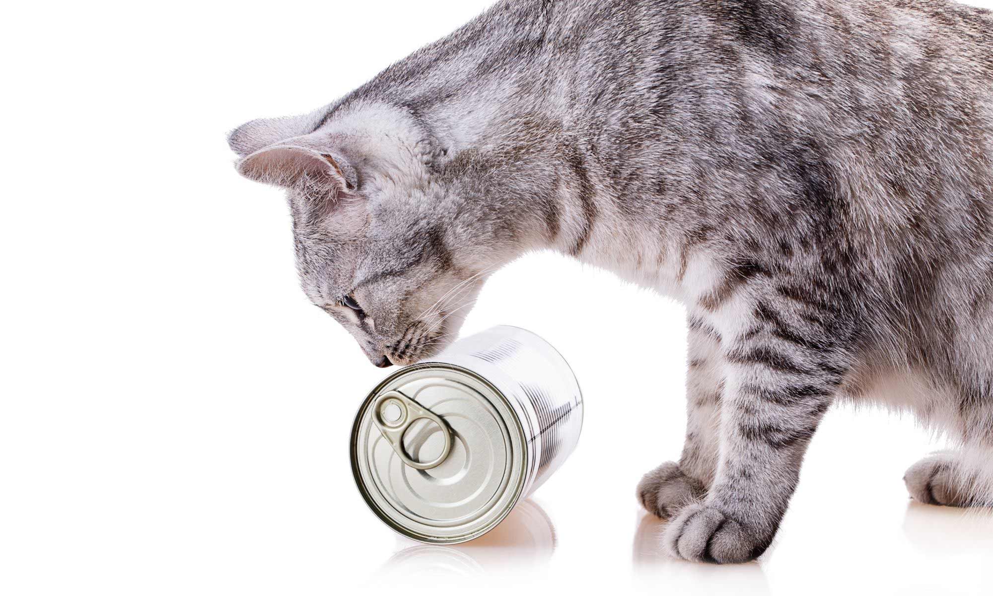 The Importance of Pet Food Labeling